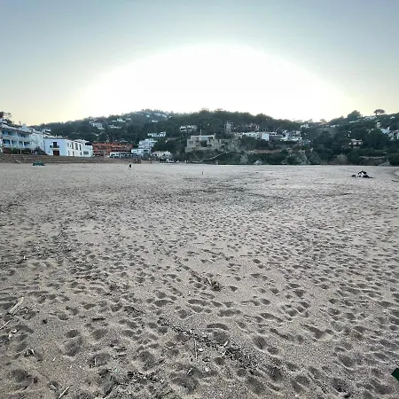 Apartment Antic Plankton - Sa Riera - Free Parking, Beach, Wifi, Perfect Holidays